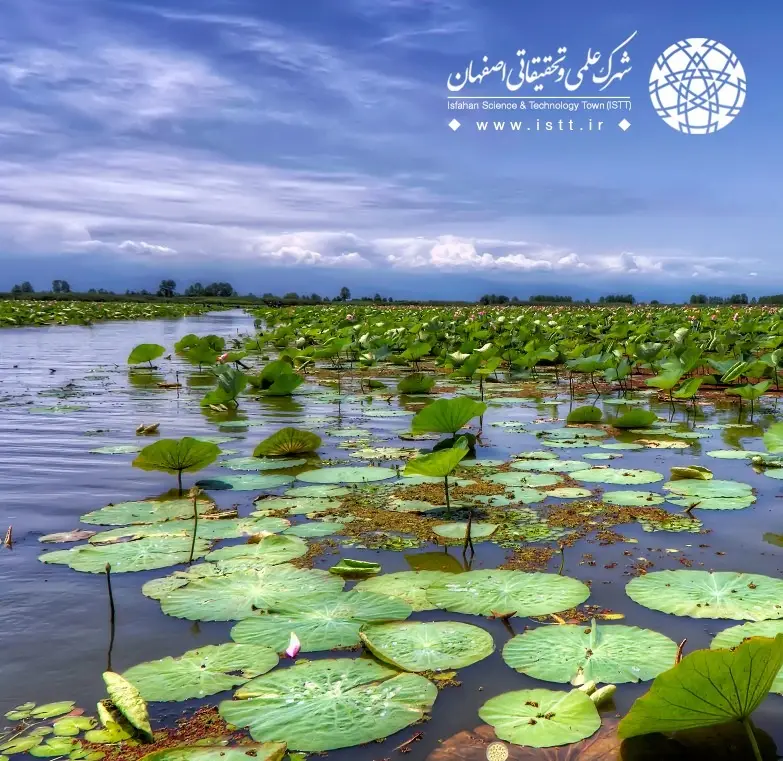 نمای شهرک علمی و تحقیقاتی اصفهان